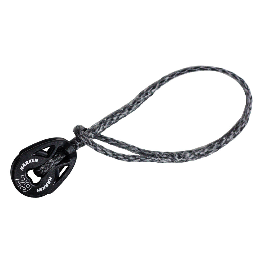 Cunningham - mast loop