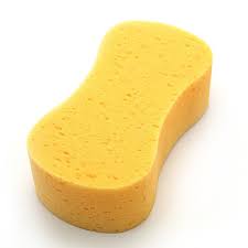 Large sponge.